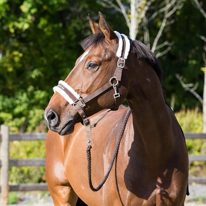 HORZE Howard Padded Fleece Comfortable Adjustable Polyester Horse Halter - Dark Brown - Warmblood