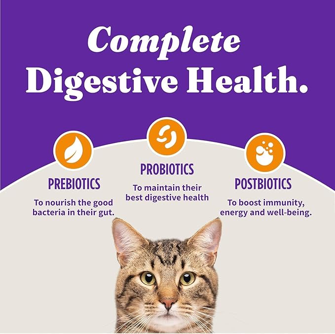 Halo Holistic Cage Free Chicken Cat Food, Healthy Grains Dry Cat Food, Complete Digestive Health, Kibble for Adult Cats, 3 lb Bag