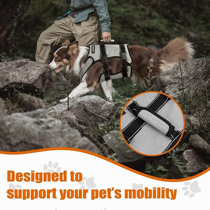 Ayquez Dog Lift Harness with Storage and Transport Bag, Dog Harness with Handle for Lifting & Hip dysplasia, arnés para Perros pequeños, pechera para Perros (Gray, M)