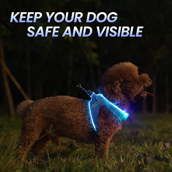 PceoTllar Light Up Dog Harness, LED No Pull Reflective Dog Harness, Flashing Lighted for Night Walking - Small/Medium, (Blue S)