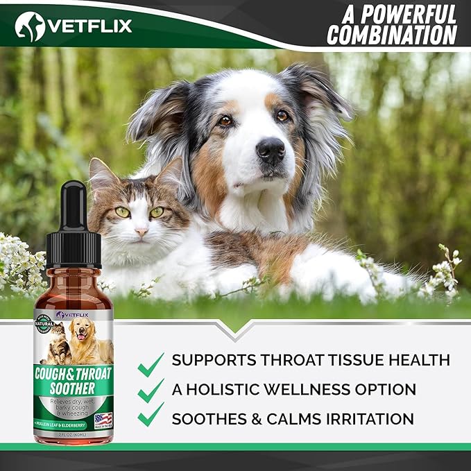 Kennel Cough Treatment for Dogs & Cats - Made in USA - Dog Allergy & Cat Asthma Relief - Mullen Leaf & Elderberry Blend - Dry, Wet & Barky Cough Relief for Dogs & Cats - All Breeds & Sizes - 2 Fl Oz