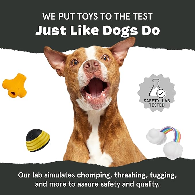 Barkbox Torbert The Troll Dog Toy for Small Dogs – Natural Rubber with Wacky Bounce – Perfect for Aggressive Chewers and Long-Lasting Playtime