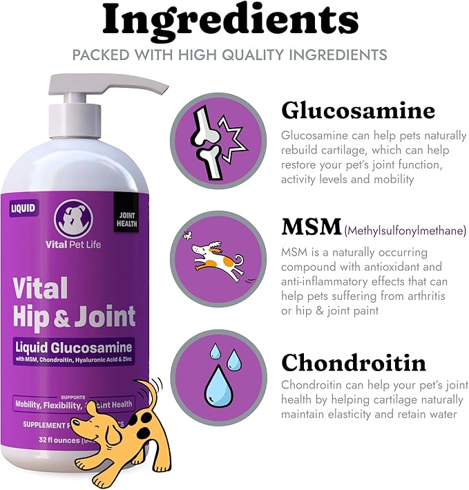 Liquid Glucosamine for Dogs Cats & Horses with Chondroitin, MSM, and Hyaluronic Acid, Hip & Joint Supplement for Mobility & Comfort, Supports Joint Health & Flexibility, Mobility, & Protection, 32 oz