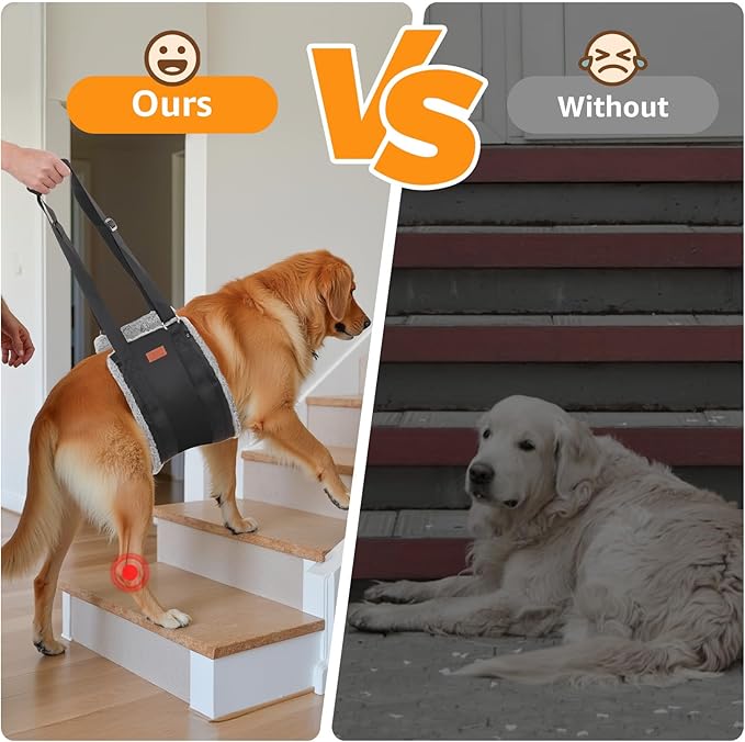 Adjustable Dog Lift Harness, Dog Sling for Large Dogs Hind Leg Support, Soft Lift Support Helps Senior, Injured, Disabled and After ACL Surgery Dogs-Black & Grey (X-Large)