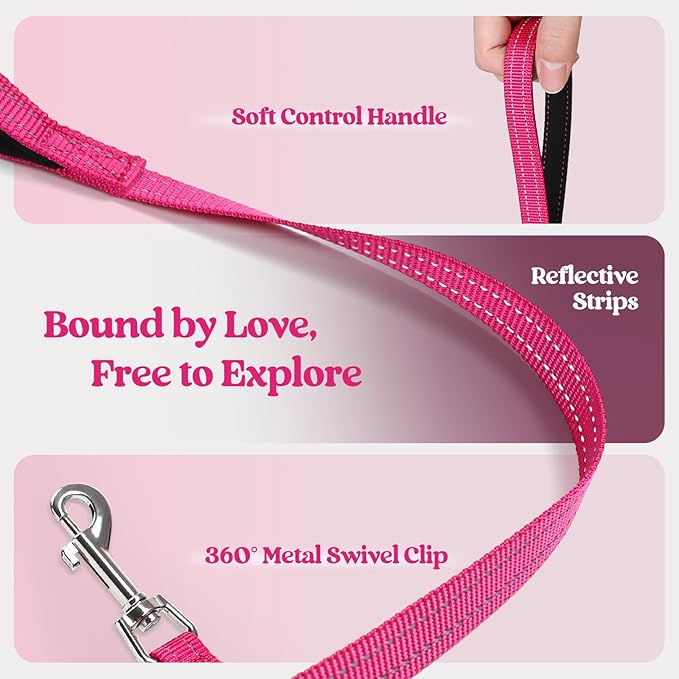 rabbitgoo Dog Harness Small Medium Sized and Leash Set, Step in Soft Light Puppy Vest, Breathable Mesh Pet Harness, Reflective for Safe Easy Walking, Rosa Red XL