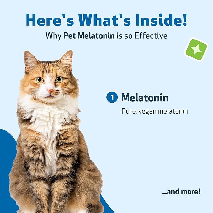 Pet Wellbeing Pet Melatonin for Cats - Supports Adrenal & Thyroid Health, Cortisol Balance, Helps Maintain Normal Sleep Patterns - Veterinarian-Formulated Liquid Supplement 2 fl oz (59 ml)