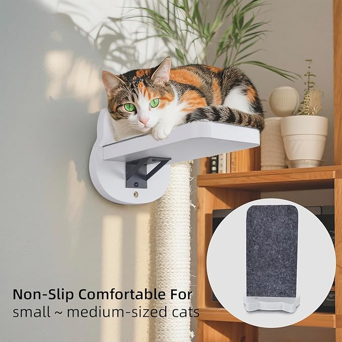 ESPETS White Painted Wooden Cat Wall Floating Steps Set of 3 - Wall Mounted Cat Floating Furniture Shelves and Perches, Sturdy Climber Stairs Ladders - Holds up 30lbs