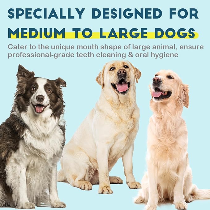 Dog Toothbrush Kit 2 Pack, Ultra Soft Pet Tooth Brush for Medium to Large Dogs, Animal Teeth Brushing Kit for Easy Dental Cleaning