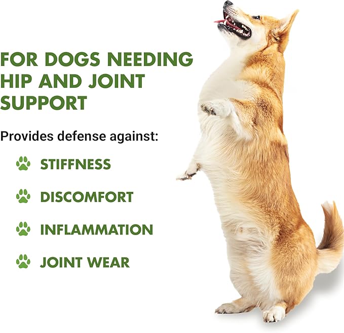 by Cool PET Holistics LVDJW-PR-04PK-16U Hip & Joint Dog Joint Supplement, 16 oz