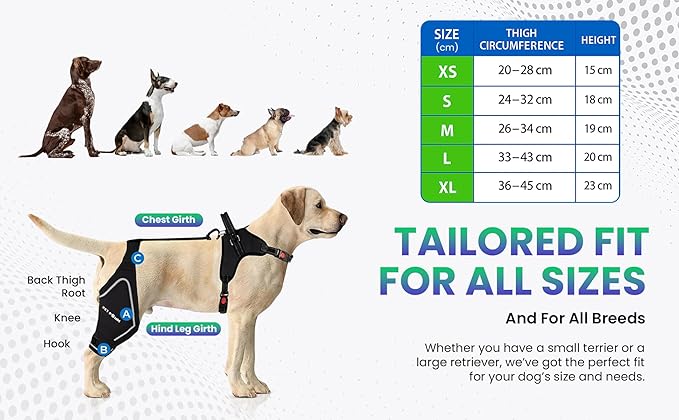 Comfortable Dog Knee Brace for Both Hind Legs with Harness - for ACL Tear, Luxating Patellae, Osteoarthritis & Instability - for Recovery & Injury Prevention in Active/Aging Dogs - (XSmall)