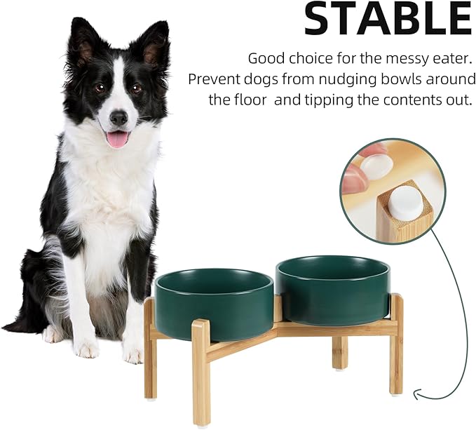 Ceramic Raised Double Bowls Set with Stand, Food & Water Bowls for Medium Breed Dogs, Weighted Dog Dishes, Pet Bowl(7.3'',41OZ, Green)