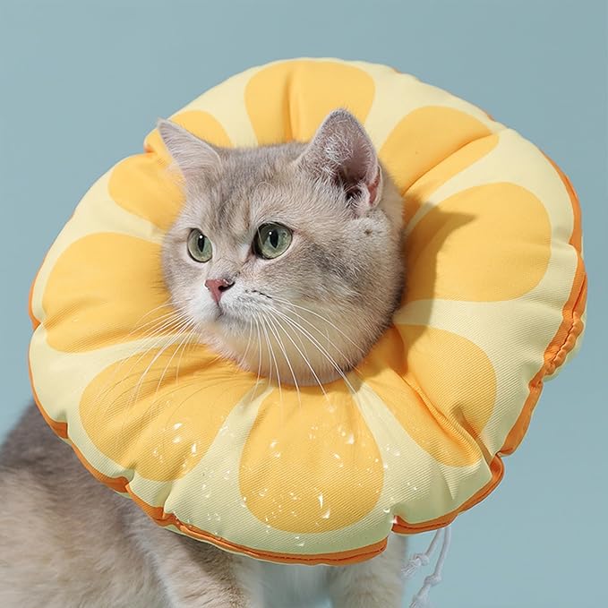 Cat Recovery Soft Collar.Cute Orange Shape, Waterproof Soft Recovery Collar. Anti-bite and Anti-Lick Wound Healing Safe Adjustable Elizabethan Collar.(L)