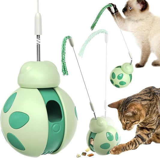 Cat Treat Interactive Toy, Indoor Puzzle Slow Feeding Mental Stimulation Sliding Rolling Cat Toy Ball with Cat Teaser, Cat Treat Dispenser Toy for Large, Medium and Small Cats (Green, ladybug)
