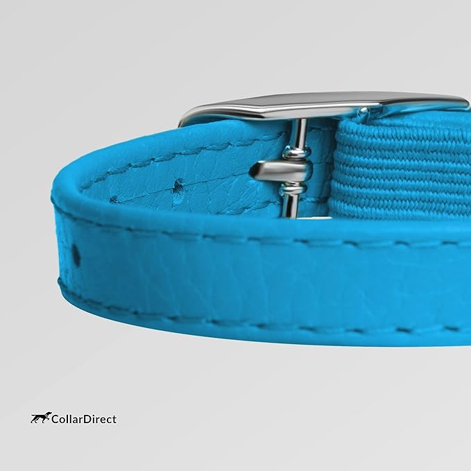 CollarDirect Leather Cat Collar, Kitten Collar with Removable Bell Black Blue Red Orange Lime Green (8-11 Inch, Light Blue)