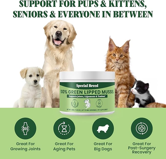 Special Breed Green Lipped Mussel Powder for Dogs & Cats - 100% New Zealand Green Lipped Mussels - Natural Hip & Joint Supplement for Joints, Tendons, Ligaments, Muscles - 200 Grams - 665 Servings