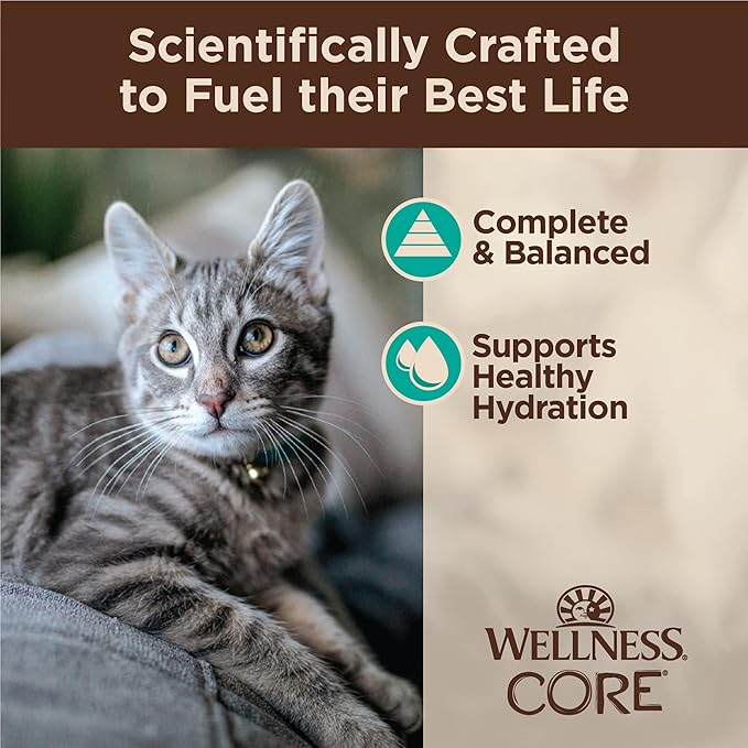 Wellness CORE Tiny Tasters Flaked Adult Wet Cat Food, Natural, Protein-Rich, Grain Free, 1.75-Ounce Pouch, 12 Pack, (Tuna & Salmon)