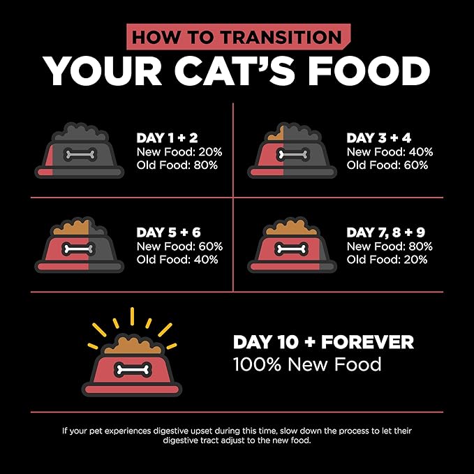 Go! Solutions Sensitivities Limited Ingredient, Grain-Free Dry Cat Food, Salmon Recipe for Sensitive Stomach, 3 lb Bag