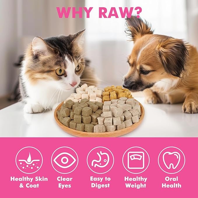 Freeze Dried Cats & Dogs Raw Treats, All Natural Single Ingredient Salmon, High Protein Healthy Pet Training Treats or Food Topper, 3.5 oz