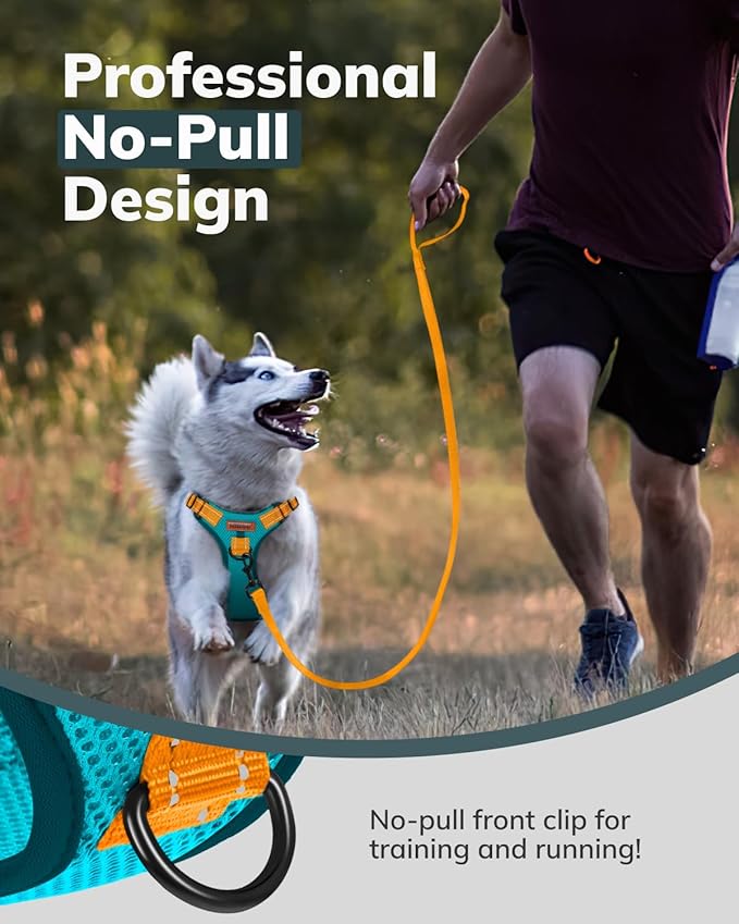 MIDOG No-Pull Dog Harness | Adjustable & Reflective Pet Harness Leash Set for Small Medium Large Dogs Walking, Training| No Choke, Front Clip, Soft Padded Vest with Easy Control Handle - Blue, S