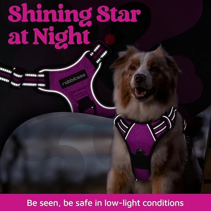 rabbitgoo Dog Harness Small Sized, No Pull Dog Vest with 3 Buckles, Adjustable Soft Padded Pet Harness with Easy Control Handle and Reflective Strips, Purple, S