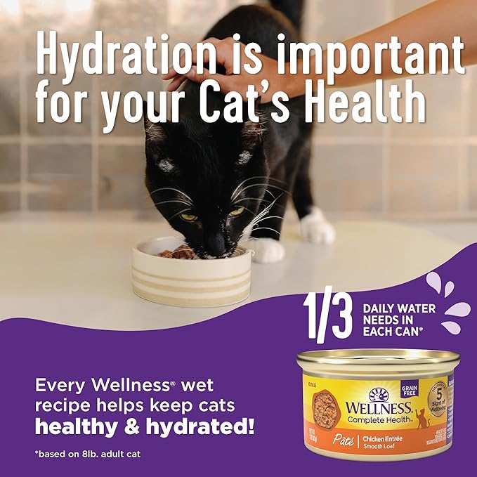Wellness Complete Health Minced Adult Wet Cat Food, Natural, Protein-Rich, Grain Free, 5.5 Ounce, 24 Pack, (Turkey Entrée)