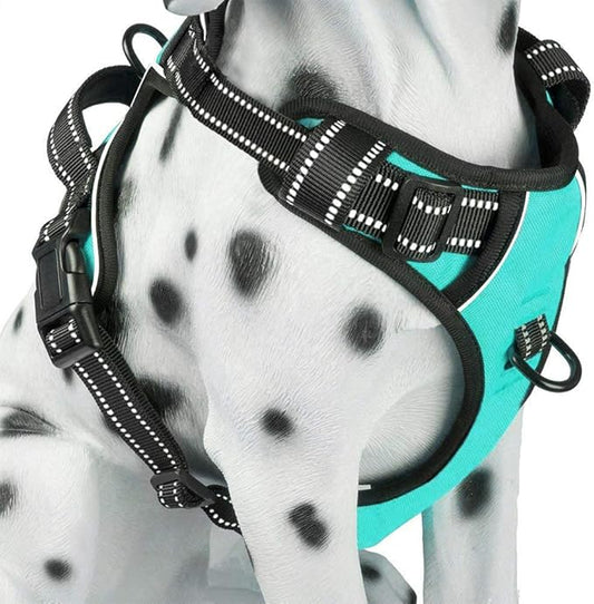 PoyPet No Pull Dog Harness, Reflective Comfortable Vest Harness with Front & Back 2 Leash Attachments and Easy Control Handle Adjustable Soft Padded Pet Vest for Small to Large Dogs (Mint Blue,XL)