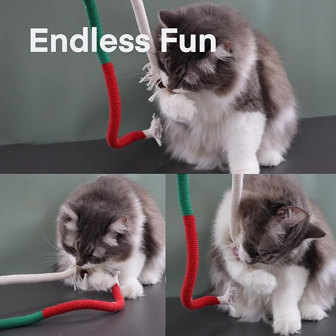 Kittens Toys，Cat Chew Toys for Indoor Cats, Catnip Toy for Teeth Cleaning, Interactive Cat Nip Teething Rope Toys for Cats Kitty, 2 Pack (27.56&7.87 inches，Plus 2 Packs of Catnip)