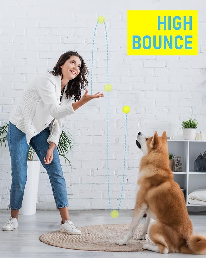 Prime Pets Toys for Dogs, 2.5 Inch Dog Toys, Interactive Pet Dog Toy Balls for Medium, Large Dogs, Tennis Balls for Dogs