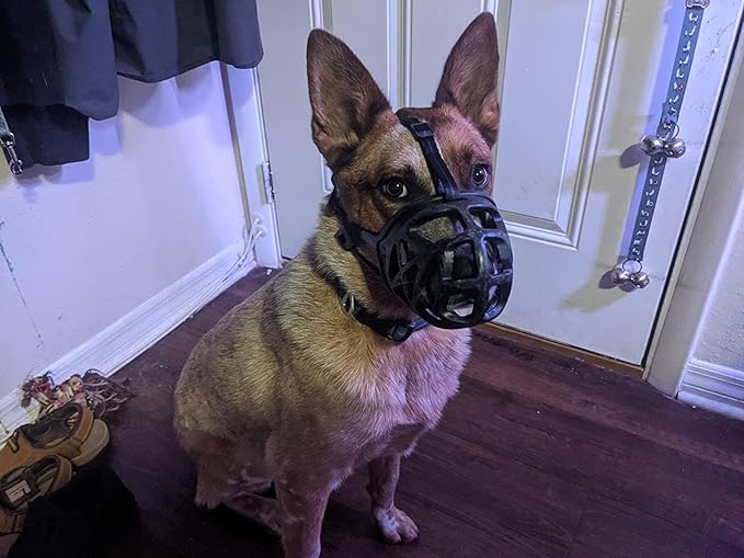 Mayerzon Dog Muzzle, Breathable Basket Muzzles for Small, Medium, Large and X-Large Aggressive Dogs Beagle German Shepherd Doberman, Cage Mouth Guard Stop Biting Chewing for Grooming Training