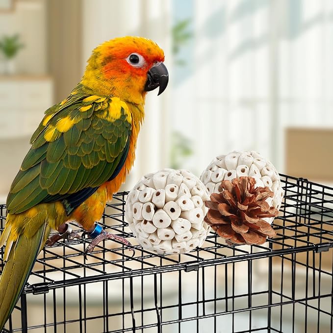 Kyouki Bird Toys Parrot Toys Natural Bird Foraging Box Foot for Parakeets,Cockatiels,Conures,Love Birds,and Other Small to Medium Birds (Medium)