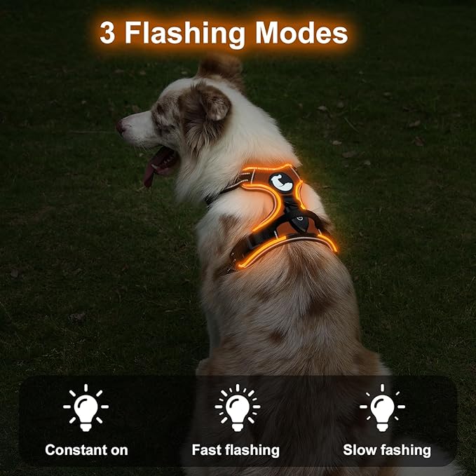 Taglory Light Up Dog Harness, Rechargeable No Pull Dog Vest with 3 Lightning Modes, Reflective Dog Harness with 2 Leash Clips & 4 Adjustable Slide Strips for Large Dogs, Orange-Orange, XL