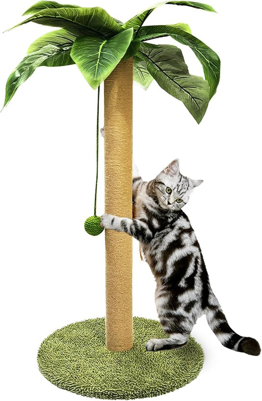 PETKARAY Cat Scratching Post, 36" Tall Palm Tree Cat Scratching Post, Sisal Cat Scratcher with Toy Ball for Indoor Kittens, Large Size