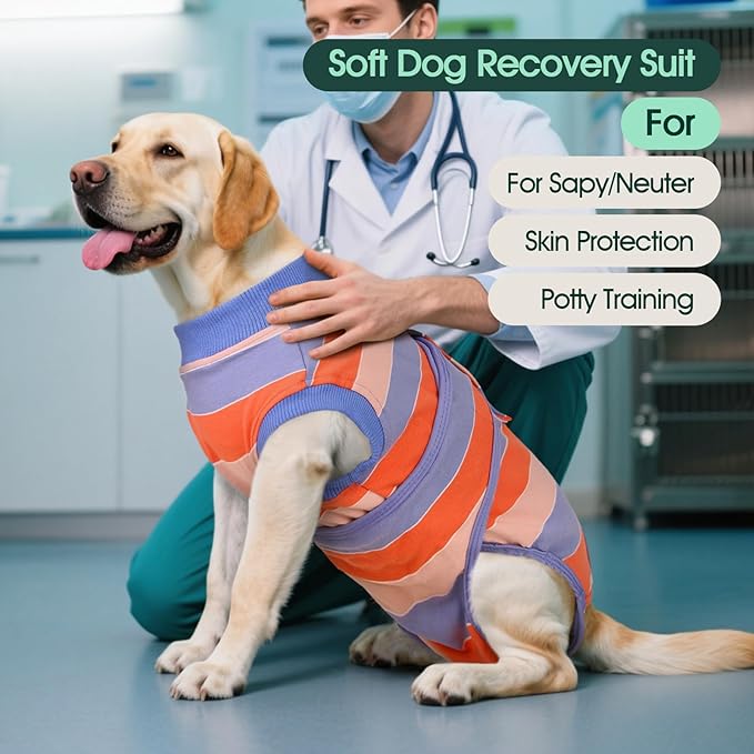 Kuoser Dog Surgery Recovery Suit for Female Male Dogs, Stripes Spay Neuter Anti-Licking Dog Onesie, Abdominal Wounds Surgical Suit Snugly Pet Collar Alternative Post Surgery Vest Bodysuit, Orange XL