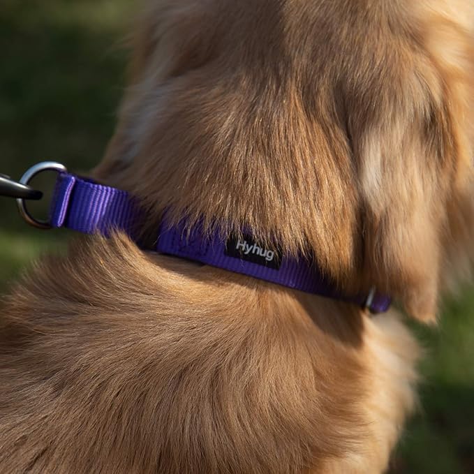 Hyhug Pets Premium Upgraded Heavy Duty Nylon Anti-Escape Martingale Collar for Boy and Girl Dogs Comfy and Safe - Daily Use Walking and Professional Training. (Large, Ultra Violet)