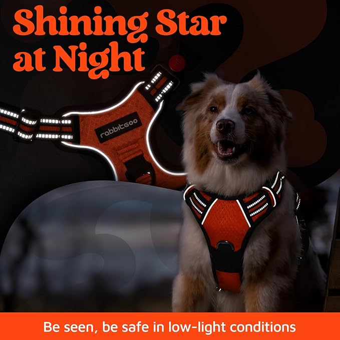 rabbitgoo Dog Harness for Large Dogs, No Pull Pet Vest with 3 Buckles, Adjustable Soft Padded Pet Harness with Easy Control Handle and Reflective Strips, Orange, XL