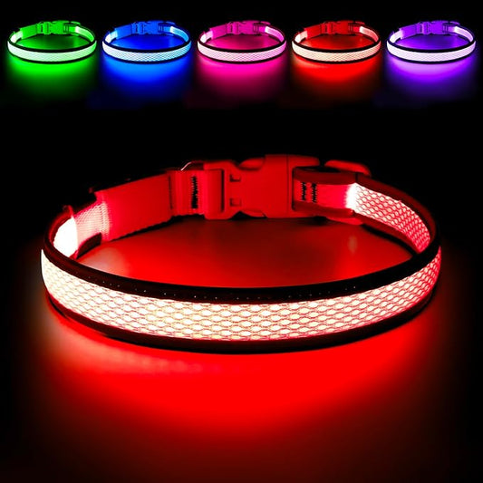 LED Dog Collar, Light Up Dog Collar USB Rechargeable, Brightest Dog Lights for Night Walking, Adjustable Dog Collar Light for Dog Safety (Medium, Ruby Red)