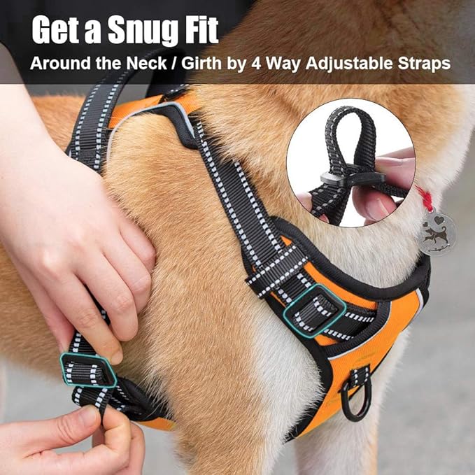 PoyPet No Pull Dog Harness, Reflective Comfortable Vest Harness with Front & Back 2 Leash Attachments and Easy Control Handle Adjustable Soft Padded Pet Vest for Small to Large Dogs (Orange,XS)
