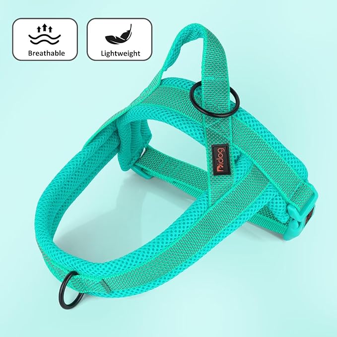 Didog No Pull Dog Harness with Breathable Mesh Padded, Full Reflective & Quick Fit Adjustable Vest Harness, Easy for Training Walking for Small & Medium and Large Dogs (Green, S:Chest 18-22")