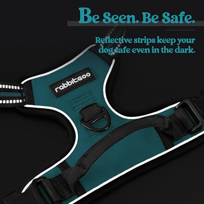 rabbitgoo Dog Harness No Pull with 2 Leash Clips, Adjustable Soft Padded, Reflective Oxford No Choke Pet Vest with Easy Control Handle for Large Dogs, Teal, L