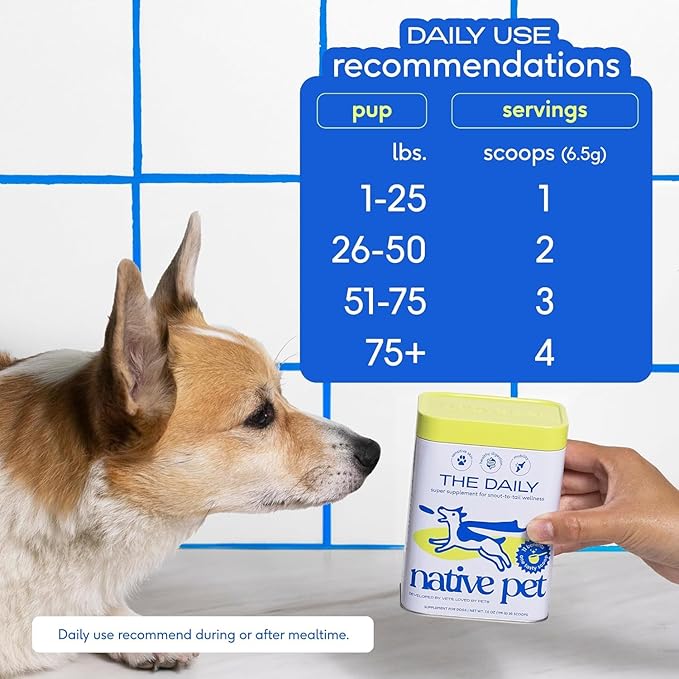 Native Pet The Daily Dog Supplement (60 Scoops) & Salmon Oil for Dogs & Cats (8 Oz) - 11 in 1 Multivitamin & Pure Omega-3 Fish Oil Supplement for Skin & Coat, Joint, Heart Health & Anti-Inflammatory
