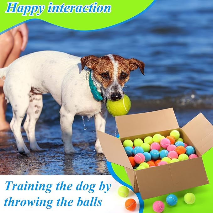 Skylety 40 Pcs 2.5 inch Squeaky Tennis Balls Bulk for Dogs Bouncy Floatable Tennis Balls Dog Playing Supplies Training Interactive Fetch Toys for Small Medium Puppy Exercise and Practice (Multicolor)