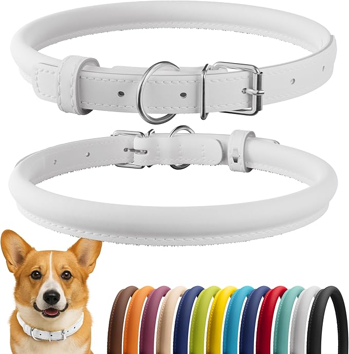 CollarDirect Rolled Leather Dog Collar, Soft Padded Round Puppy Collar, Handmade Genuine Leather Collar Dog Small Large Cat Collars 13 Colors (13-16 Inch, White Smooth)