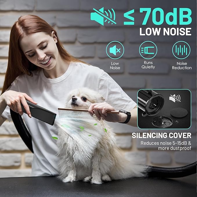 Dog Dryer High Velocity Dog Hair Dryer with 4 Nozzles 5.2HP/3800W (Professional Super Cyclone), Stepless Adjustable Speed Temperature Dogs Grooming Blow Dryer with Heater for Pets Hair Dryer, Black