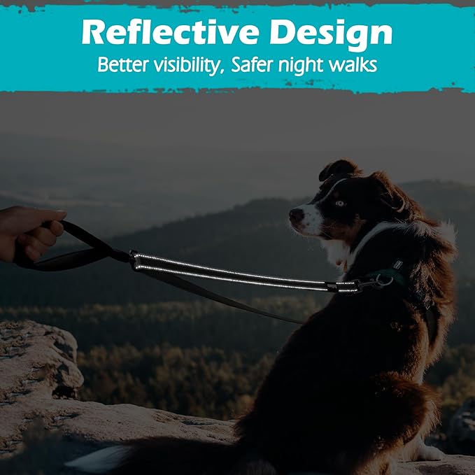 PetBonus Two Point Control Dog Leash, Works with No Pull Harnesses, No Tangle Dog Training Leashes, No Pull Padded and Reflective Walking Lead, Converts to Single Leash for Medium Large Dogs (Grey)