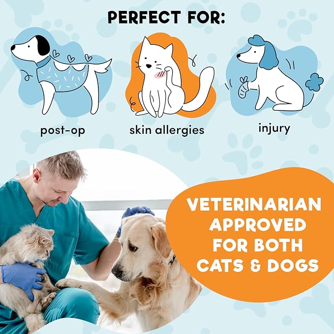 BENCMATE Inflatable Dog Cone Collar Alternative, Soft Dog Cone for Small Medium Large Dogs and Cats, Neck Recovery ECollar Donut Collar After Surgery (Large+, Donut-Blue)