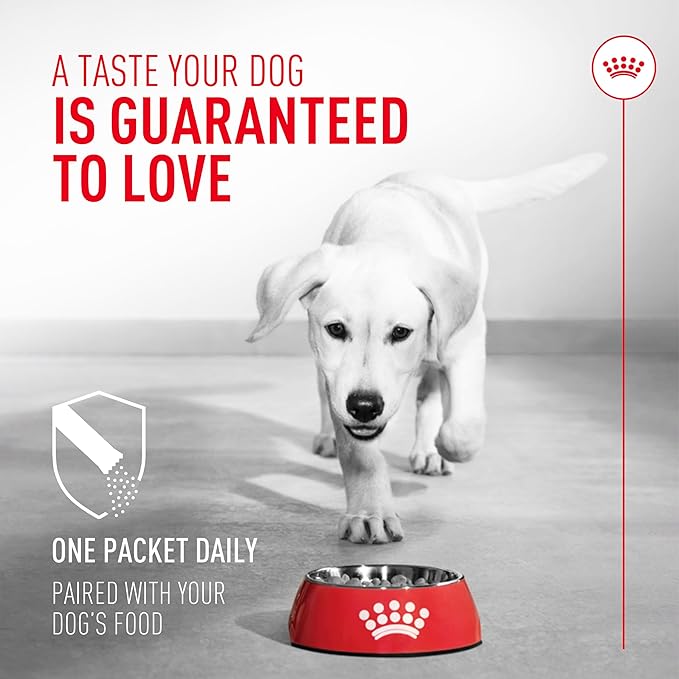 Royal Canin Probiotics for Dogs Digestive and Immune Health Powder Supplement for Canines of All Ages, 30 Count