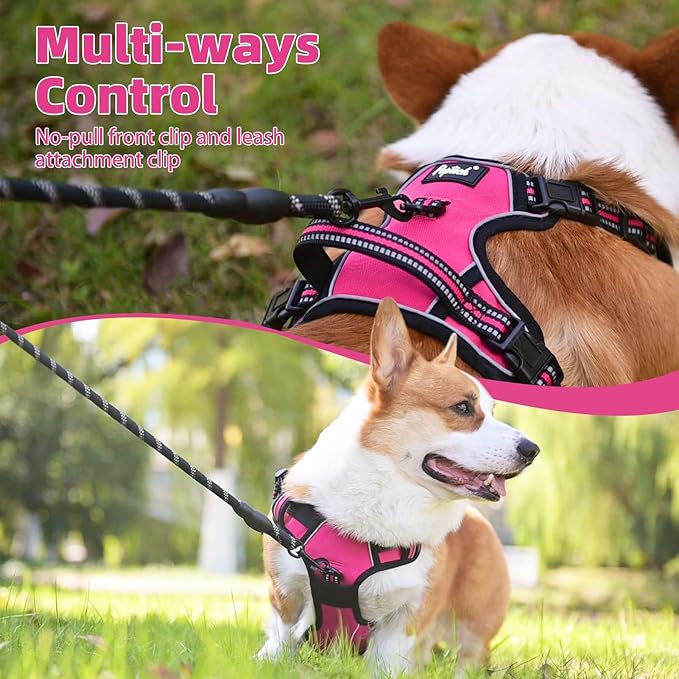 PUPTECK No Pull Dog Harness Small Sized, Adjustable Reflective Dog Harness with Handle Easy Control, Comfortable Soft Padded Pet Vest Harness for Small Dogs, Fuschia S
