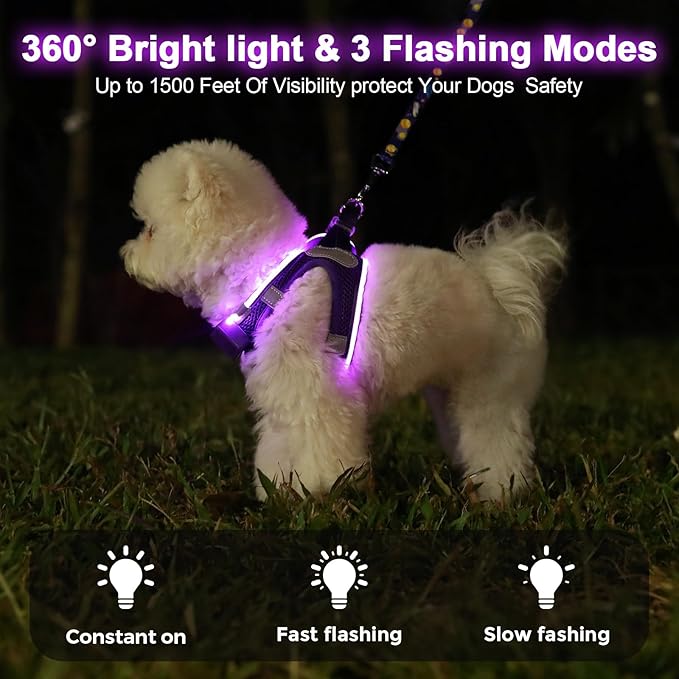 Light Up Dog Harness,Rechargeable LED Dog Harness for Small Medium Large Dogs,Reflective Lighted Safety Vest for Night Walking & Camping,Lightweight & Adjustable,Purple,XS