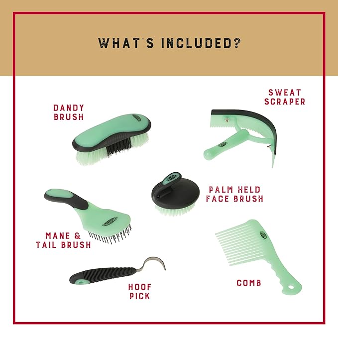 Weaver Equine 6-Piece Horse Grooming Kit, Ergonomic Gentle Horse Care Kit, Equestrian Supplies for Bathing Support, Detangling, and More, Mint/Gray