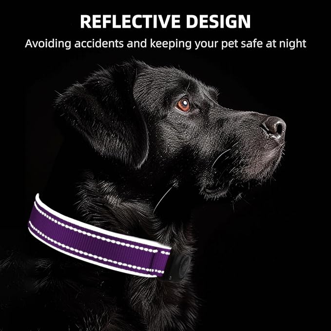 Airtag Dog Collar - 100% Waterproof Air tag Dog Collar Holder for Apple AirTag, Reflective, Soft Padded, Everlasting, GPS Dog Collar for Small Medium Large Dogs (Purple, S)